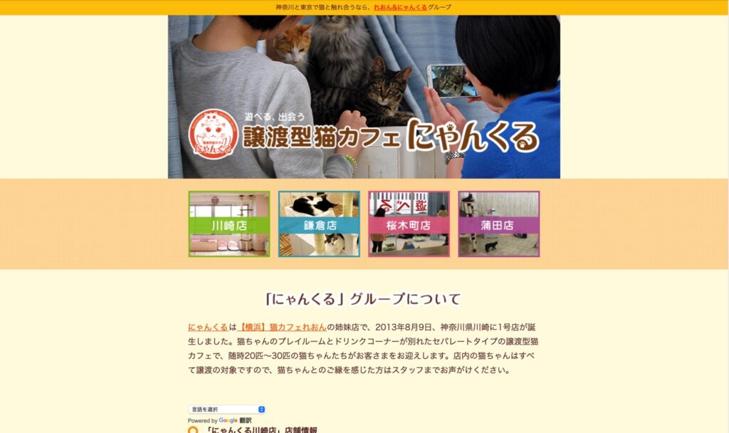 21年版 神奈川県でおすすめの猫カフェ19選 横浜 川崎以外 猫カフェナビ