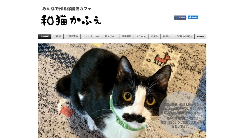 21年版 神奈川県でおすすめの猫カフェ19選 横浜 川崎以外 ページ 2 猫カフェナビ