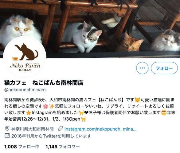 22年版 神奈川県でおすすめの猫カフェ選 横浜 川崎以外 猫カフェナビ