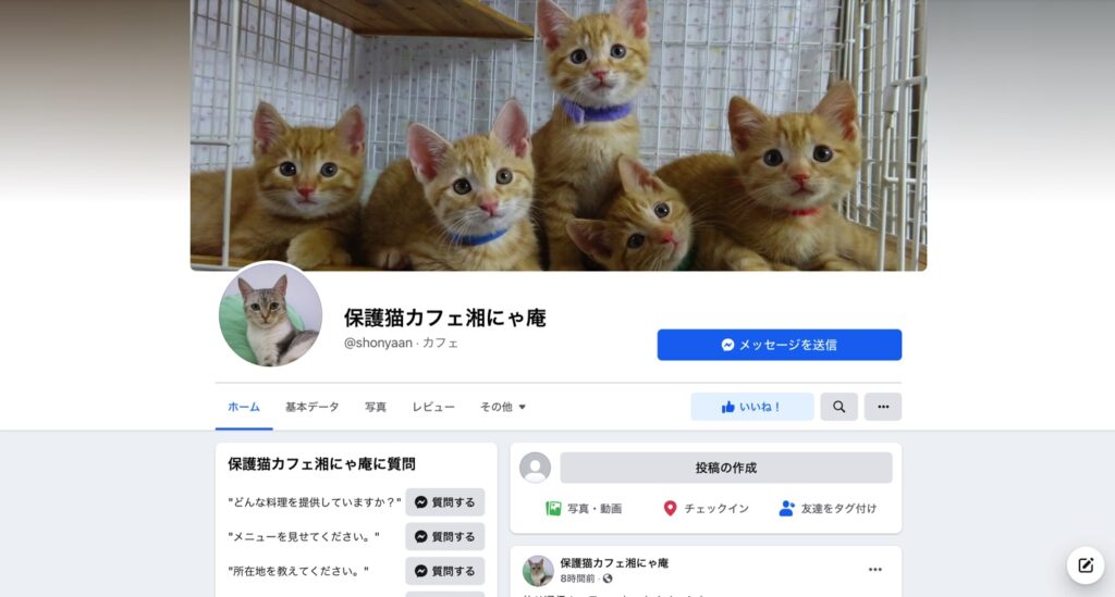 21年版 神奈川県でおすすめの猫カフェ19選 横浜 川崎以外 ページ 2 猫カフェナビ