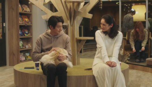 【実在するの？】ドラマに出てくるおしゃれな猫カフェ【どこにある？】