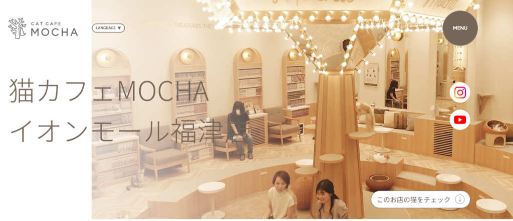 イオンモール福津店｜猫カフェ MOCHA(モカ) - catmocha.jp