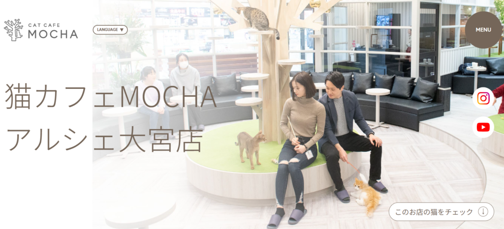 アルシェ大宮店｜猫カフェ MOCHA(モカ) - catmocha.jp