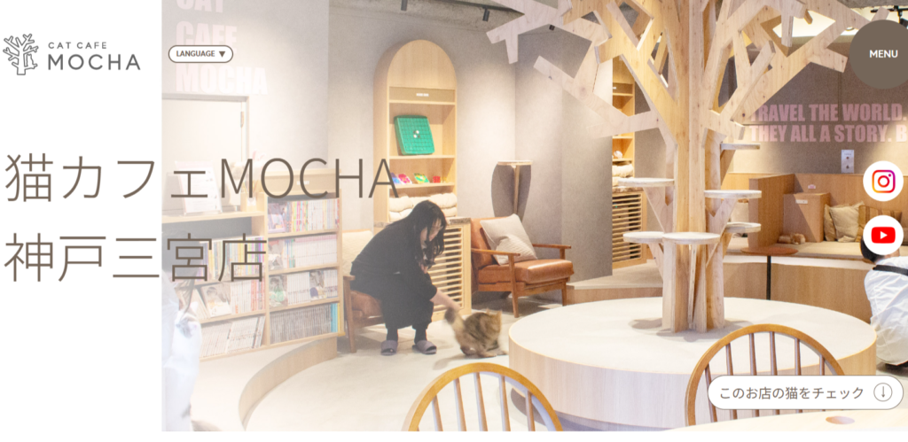神戸三宮店｜猫カフェ MOCHA(モカ) - catmocha.jp