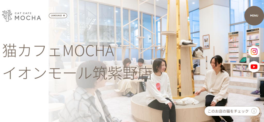 イオンモール筑紫野店｜猫カフェ MOCHA(モカ) - catmocha.jp